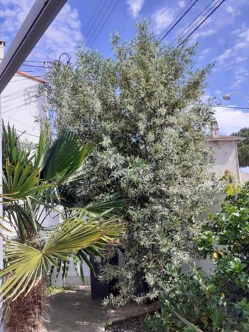 Maison 4 pièce(s) 3 chambre(s) 85 m²