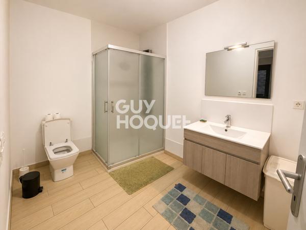 Appartement/Maisonnette à vendre 12 min sud Milly la Forêt