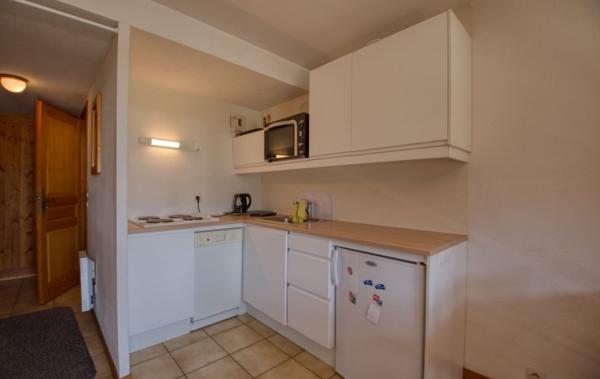 Vente Appartement P2 Village 1 chambre et mezzanine Morillon   