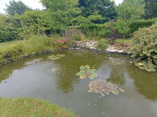 Propriétéavec parc, piscine et prestations haut de gamme