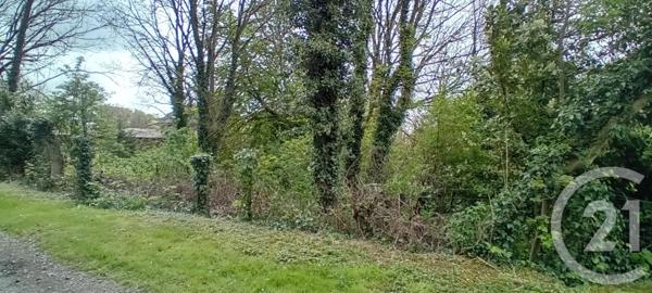 Terrain à vendre  4347 m2 PERONNE - 80