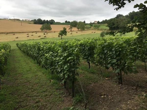 Superbe propriété de campagne au calme, 142 m², 12944 m² de terrain, 4 grandes dépendances