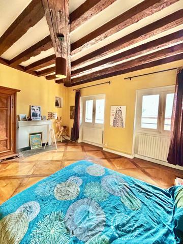 🏛️ Appartement de caractère – Dernier étage – Centre historique de Chambéry