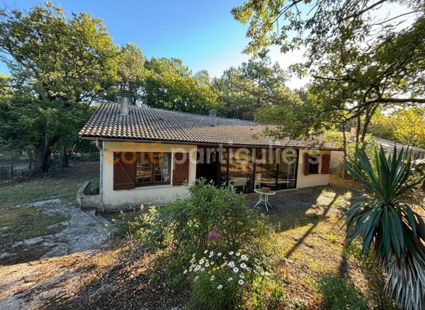 Vente
                Maison78 m² - 3 Pièces -
                    SOULAC SUR MER (33780)