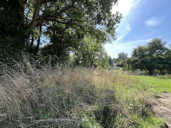 CARQUEFOU - QUARTIER RESIDENTIEL - TERRAIN A BATIR
