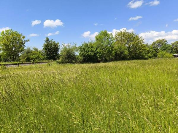 Terrain à vendre |  Assier |  2420 m²