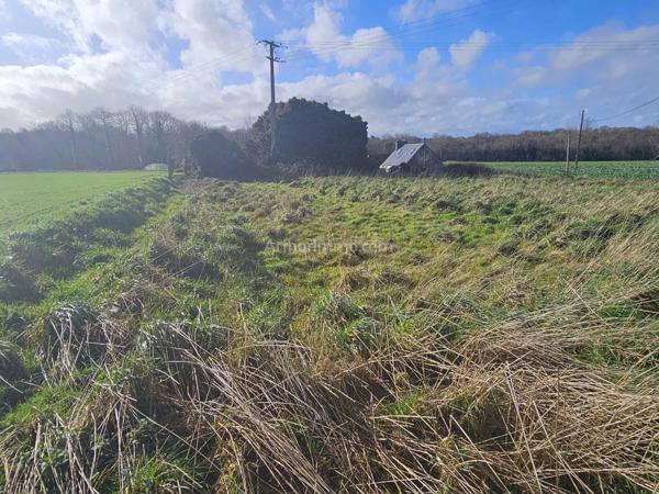 Vente Maison 5 pièces 109 m2 à Plouaret