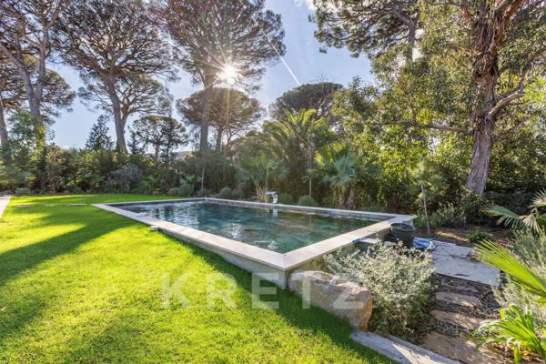 Un Joyau Contemporain à la Bouillabaisse Saint Tropez