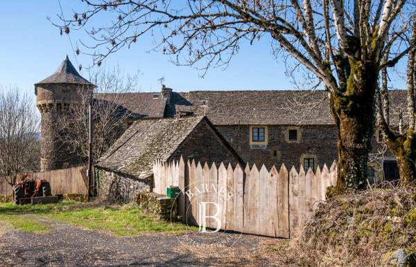 Espalion, Château  400 m² à vendre
