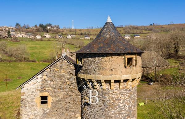 Espalion, Château  400 m² à vendre