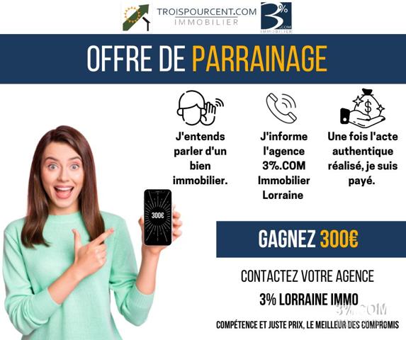 Maison de 170 m² sur terrain de 937 m², 4 chambres, 1 bureau, 200m² de dépendances Lunéville (54300)