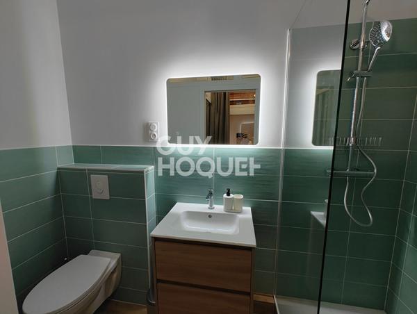 Clermont Ferrand Plateau central - Studio + local commercial