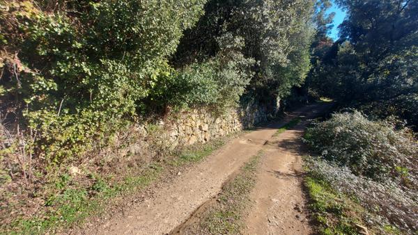 TERRAIN CONSTRUCTIBLE 2350 M2 - VICO  Vico (20160)