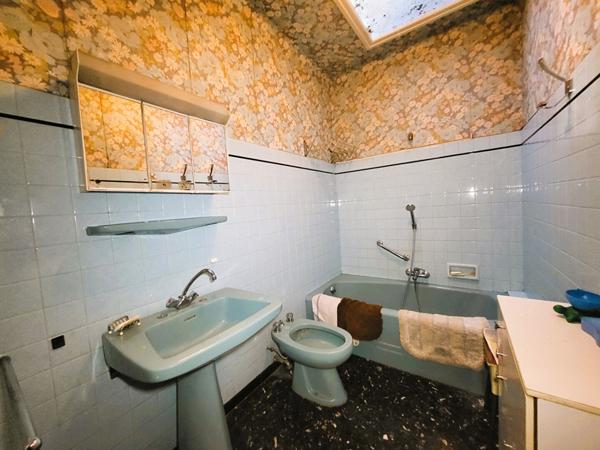 Maison 2 Appartements / Jardin / 2 Garages