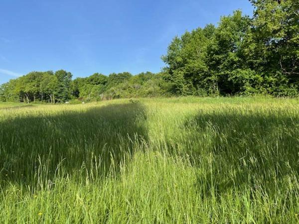 Terrain à vendre 43 365 € Saint-Astier 947 m² DPE