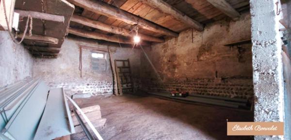 A vendre - Corps de ferme au charme rustique avec un fort potentiel de division - Saint-Laurent-De-Mûre