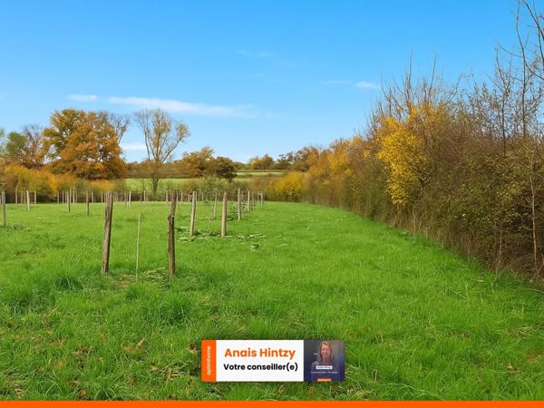 Maison à vendre 3 pièces TREIGNAT (03)