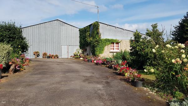 Maison en pierre avec dépendances, hangars, 5000 m2 de terrain