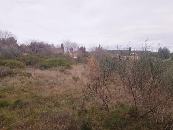 Vente / Terrain constructible