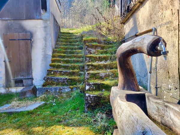 Maison à vendre MAISON + DEPENDANCES THOLLON LES MEMISES (74)