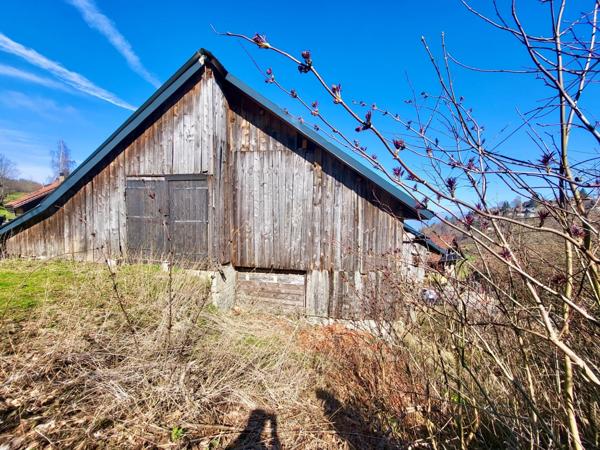 Maison à vendre MAISON + DEPENDANCES THOLLON LES MEMISES (74)