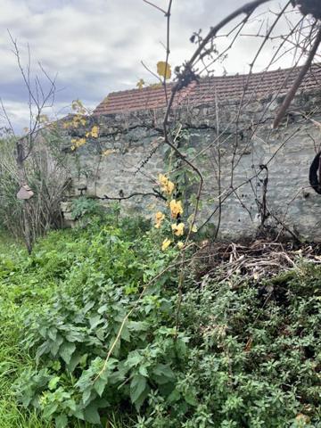 Maison à vendre |  Thairé |  5 pièces | 110 m²