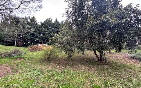 Appartement à vendre    6 pièces • 104,77 m2 Ramonville-Saint-Agne