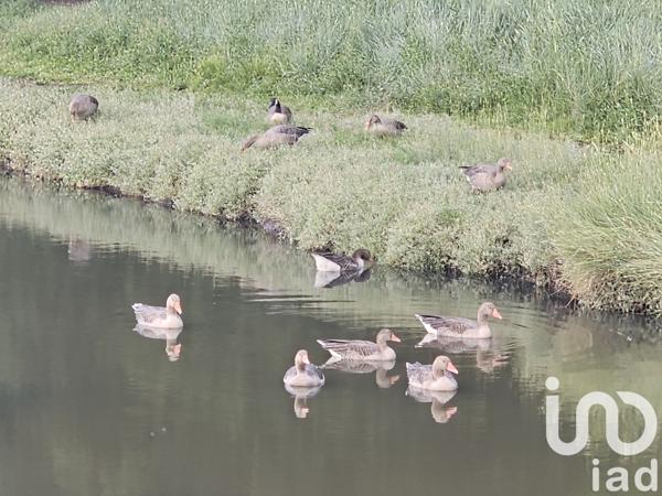 Maison à vendre 3 pièces 75 m² Paimpol