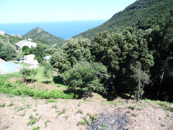 Terrain San Martino Di Lota 2006 m2