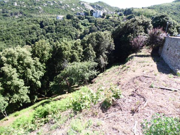 Terrain San Martino Di Lota 2006 m2