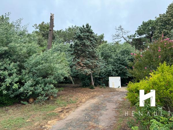 Terrain Rivedoux Plage 785 m2