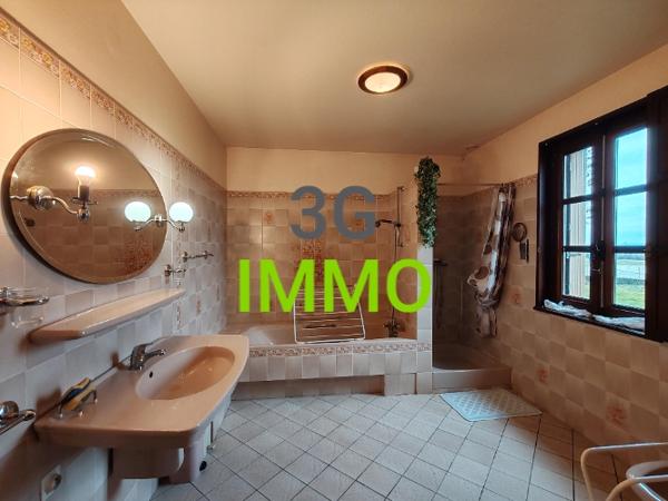 Vente / Maison et grand terrain