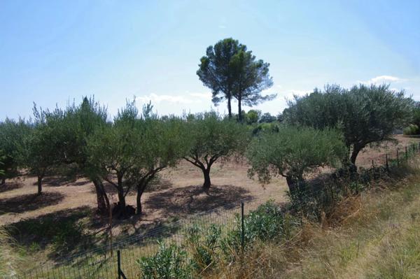 Immobilier Lorgues (83510) – Terrain 1200m2 – 190 000 €