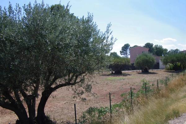 Immobilier Lorgues (83510) – Terrain 1200m2 – 190 000 €