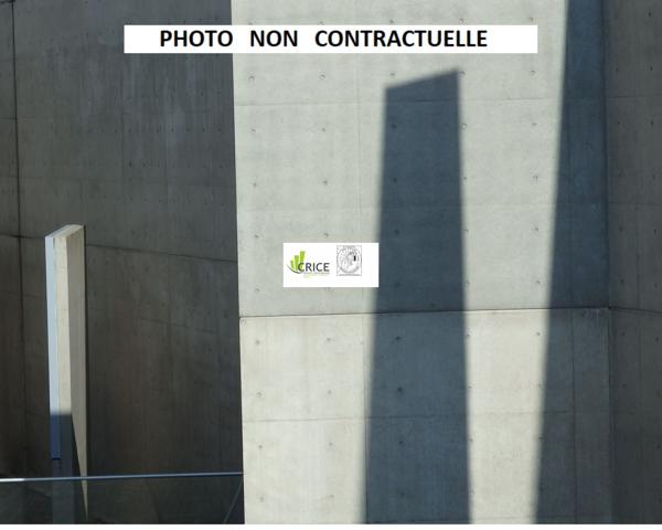 A LOUER ROYAN LOCAL COMMERCIAL OU PROFESSIONNEL (17)