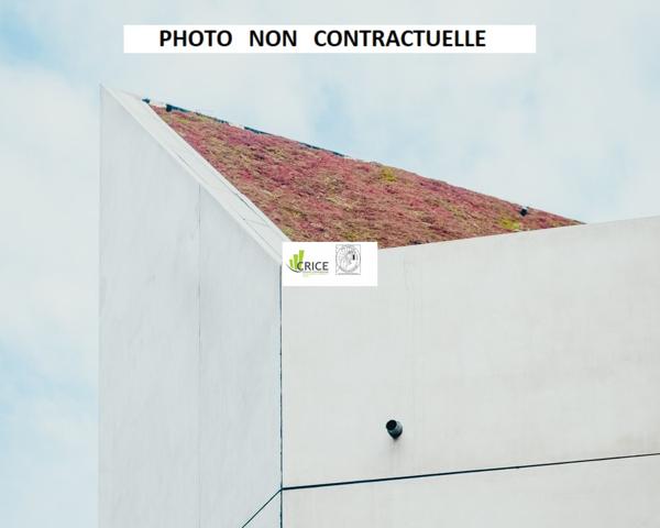 A LOUER ROYAN LOCAL COMMERCIAL OU PROFESSIONNEL (17)