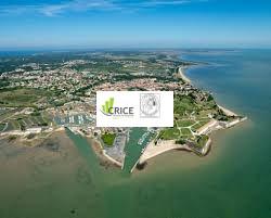 LOCATION COMMERCIALE OU PROFESSIONNELLE
