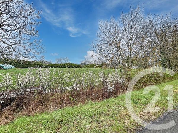 Terrain à vendre  5449 m2 YSSINGEAUX - 43