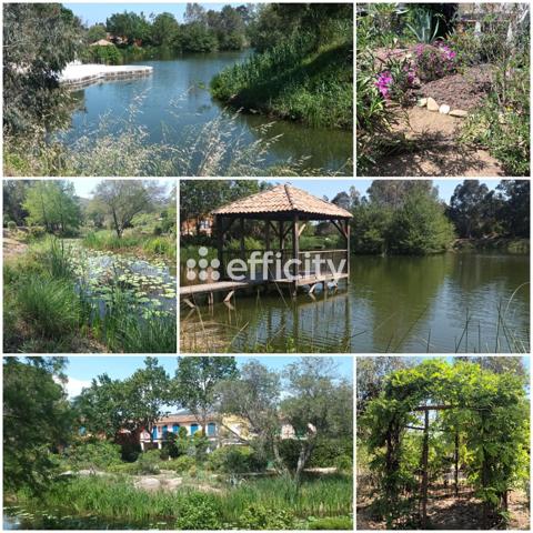 Maison 3 pièces - 60 m² Exclusivité efficity