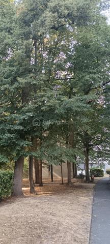 Vous rêvez d'installer votre famille dans un environnement privilégié, entouré de nature et proche des commodités de la ville? Entrez dans la Résidence du Château où calme, sécurité et installations sportives vous attendent.

Découvrez cet appartement spacieux de 127 m², situé au dernier étage. Niché  dans un environnement paisible, il offre un cadre de vie confortable et familial.

Composé de six pièces généreuses, cet appartement propose un agencement bien pensé.
 L'espace de vie se compose d'une cuisine entièrement équipée avec lave vaisselle, four et plaques de grandes marques, d' une salle à manger de 15m2 attenante à la cuisine et d'un salon parqueté de 33m2 offrant une belle luminosité grace à sa baie vitrée triple vitrage.
Trois espaces nuits desservis par trois couloirs vous permettront d'installer votre famille dans le confort et l'intimité de chacun.
Le côté pratique, des placards partout!
Une salle de douche, une salle de bains ainsi que deux wc complètent ce bien.
 
 Une cave et un parking sont inclus pour un confort absolu.

Les +:
- 4 vrais chambres 
- nombreux rangements
- volets roulants
- baie vitrée triple vitrage avec isolation phonique et thermique
- aucun vis-à-vis
- aucun travaux à prévoir
- terrains de tennis, football, badminton et aire de jeux pour enfants dans la résidence.

À proximité des commerces et des transports en commun, ce bien est idéal pour ceux qui recherchent praticité et tranquillité.

Suggestions d'aménagement intérieur générés par IA.

Contactez moi vite pour une visite.
