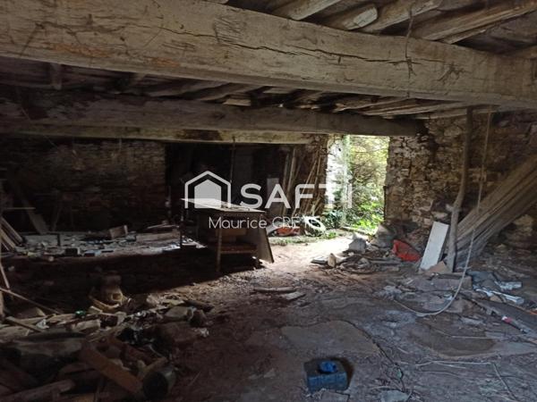 PROJET FAMILIAL OU INVESTISSEUR