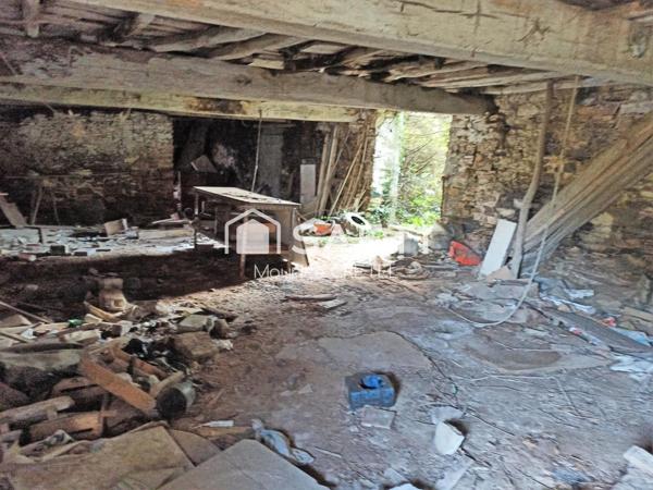 PROJET FAMILIAL OU INVESTISSEUR