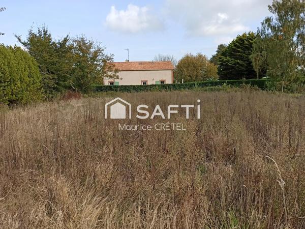 PROJET FAMILIAL OU INVESTISSEUR