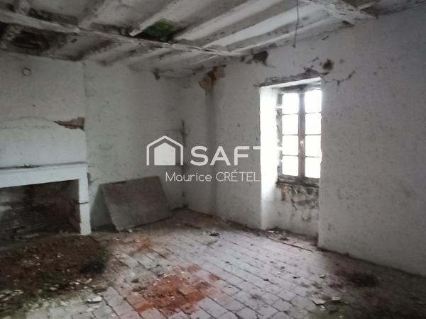 PROJET FAMILIAL OU INVESTISSEUR