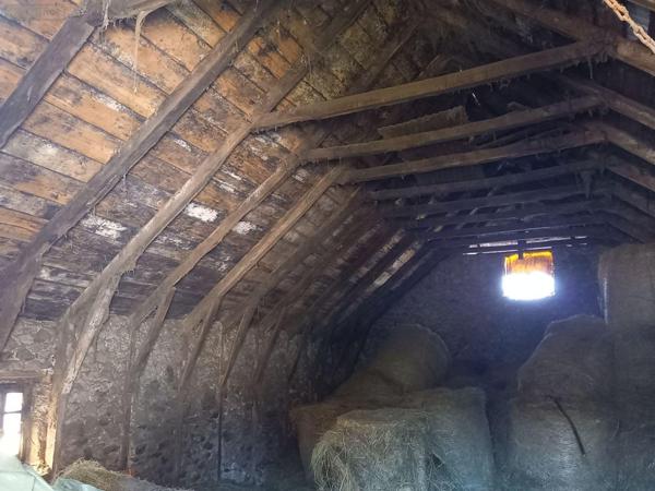 Maison à vendre à Vic-sur-Cère dans le Cantal (15800), ref : MG/2161