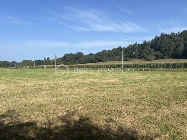 Terrain de 1 161 m²