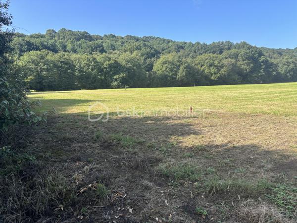 Terrain de 1 161 m²