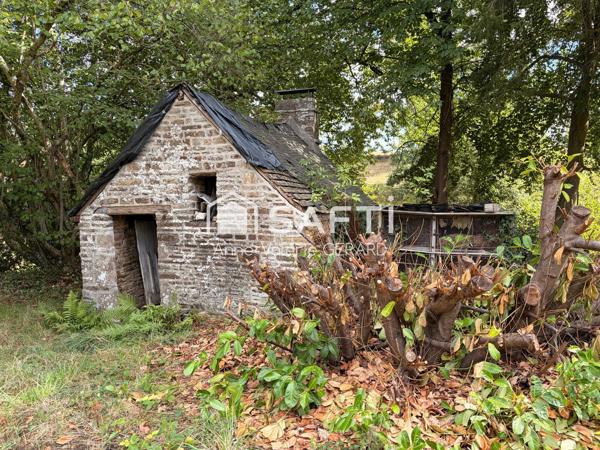 Maison à rénover 200m² avec dépendances - 4754m²