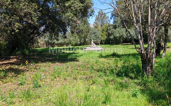 VILLA 220 M² S/TER 6645M²