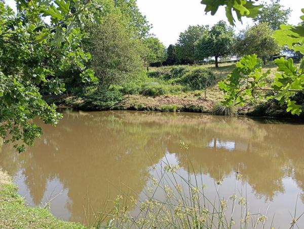 Maison sans voisins avec étang à 8 kms de Mayenne